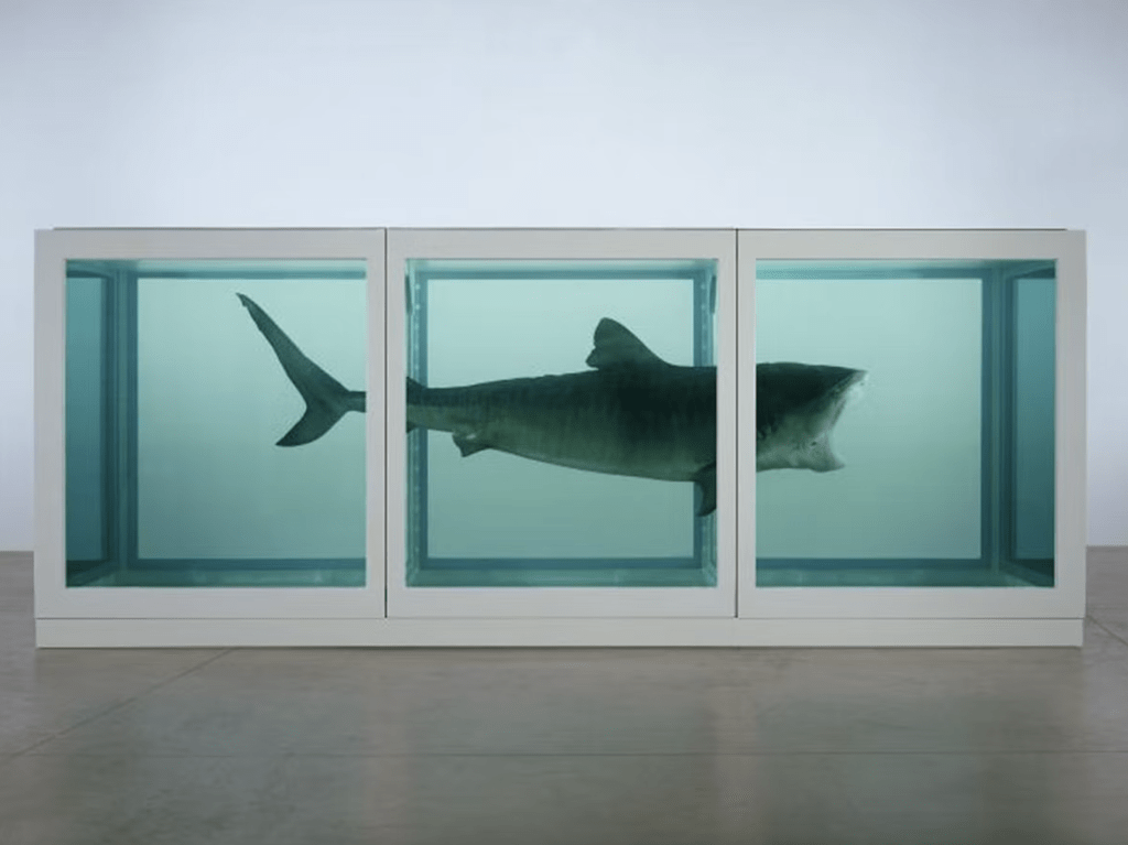 Captura de pantalla 2023 05 19 a las 10.54.10 a. m